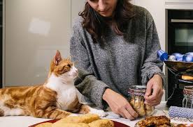 https://www.petmd.com/cat/nutrition/toxic-foods-for-cats