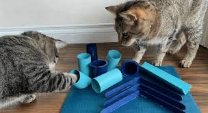 DIY Cat Toys You Can Make at Home