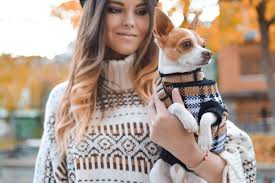 Tech-Enhanced Fashion for Dogs